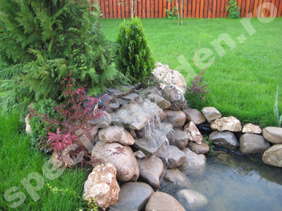 Minicascada cu aranjament de plante 