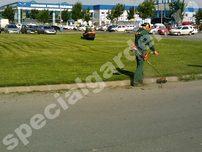 Intretinere peluze gazon