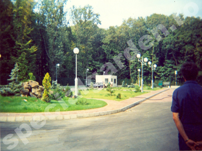 Intretinere spatiu verde cu plante 