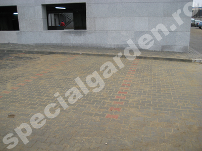 Dupa interventia echipei Special Garden