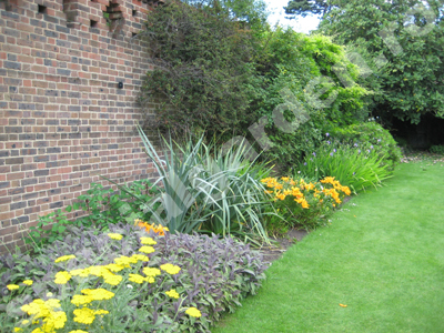 Latura a curtii cu plante perene si gazon