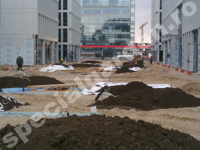 In timpul amenajarii