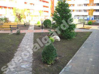 Amenajare spatiu de locuinte  dupa