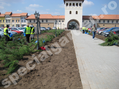 Amenajare spatii verzi