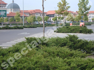 Amenajare exterioara 