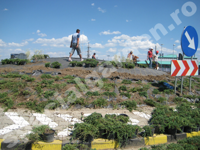 Amenajare sens giratoriu cu geotextil si rasinoase