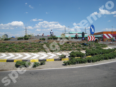 Sens giratoriu in timpul amenajarii cu plante