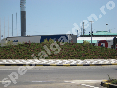 Sens giratoriu dupa ce a fot amenajat