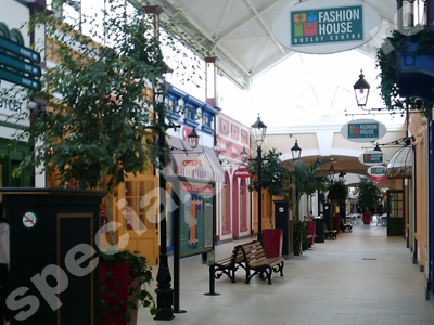 Amenajare cu plante interior magazine