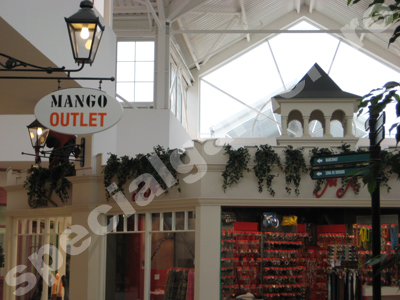 Amenajare interioara cu plante